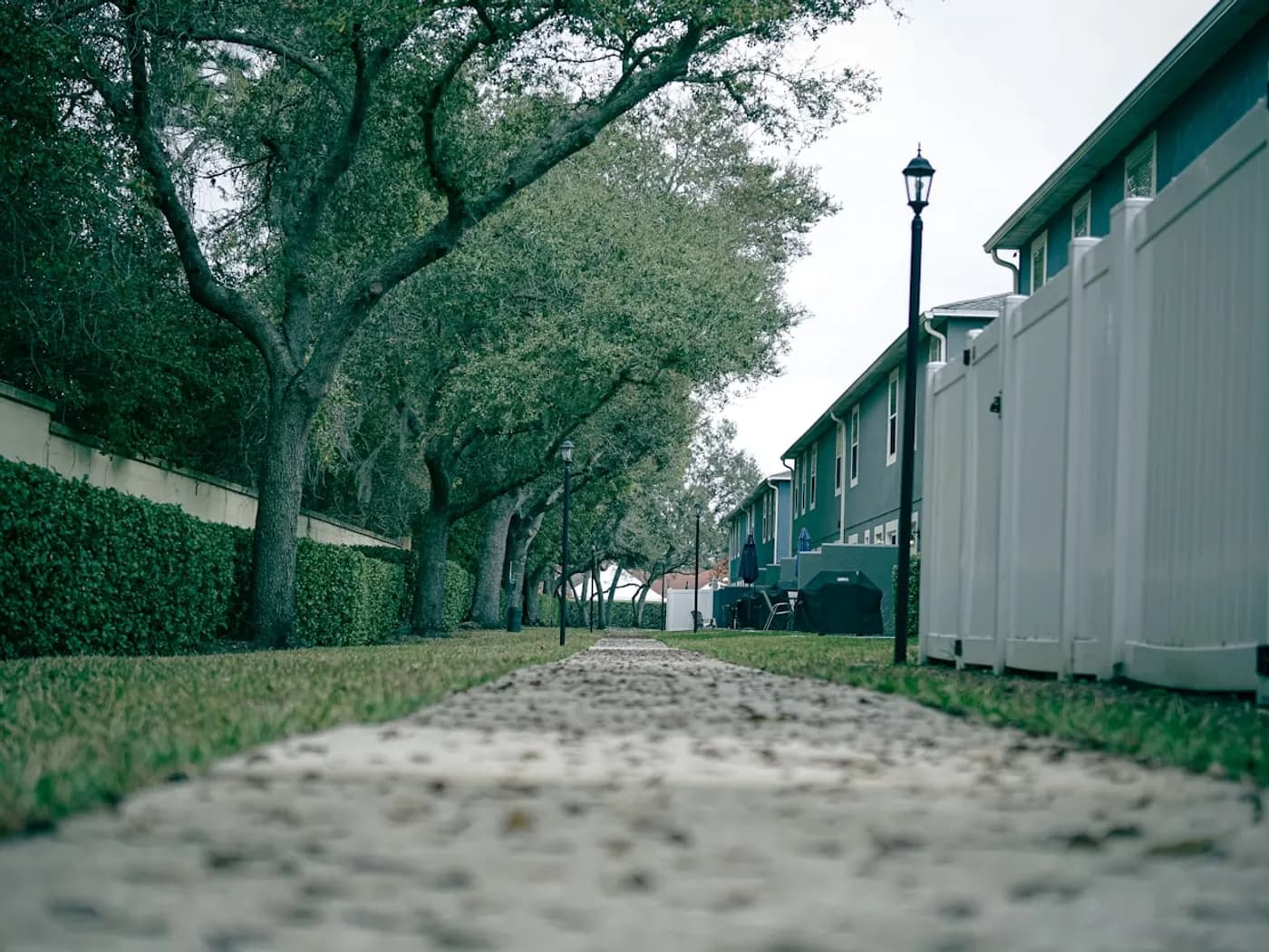 Sidewalk lined with trees and fences along a residential street