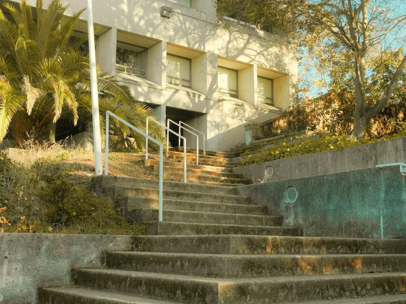 Concrete stairs leading up to a building entrance