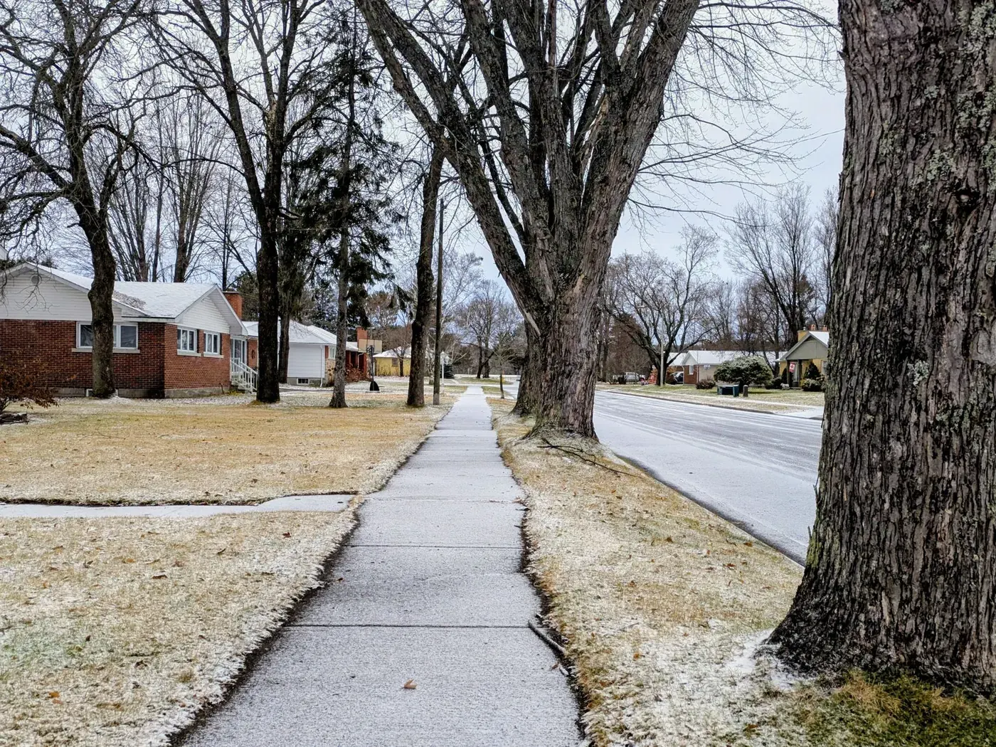 Concrete sidewalk running along a residential street lined with trees