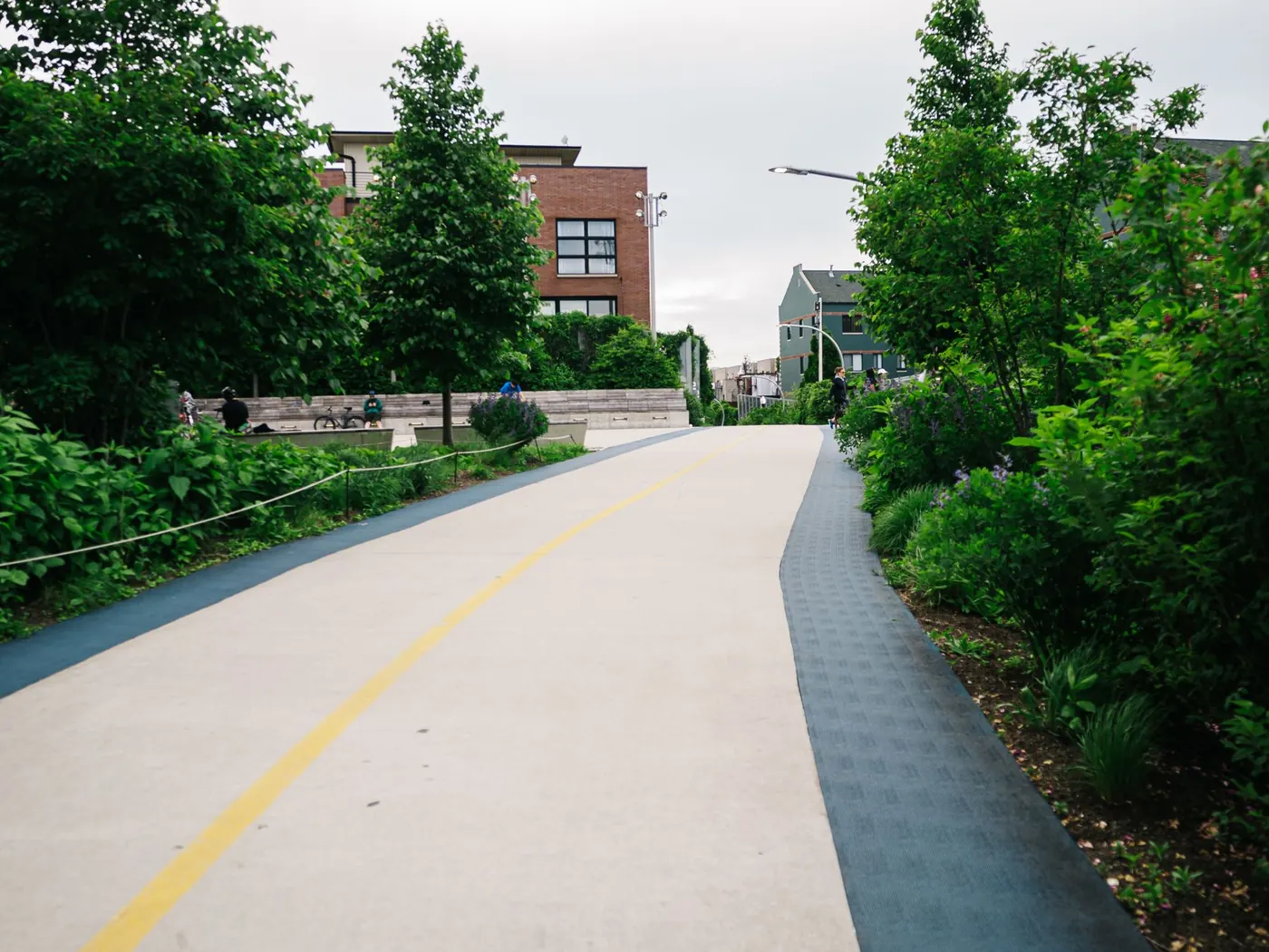 Wide concrete path with a painted centre line running past landscaped planting