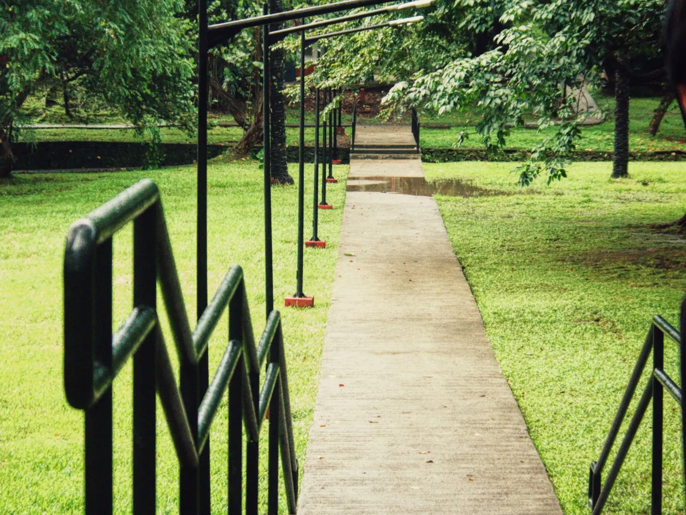 Narrow concrete walkway crossing a lawn with metal handrails