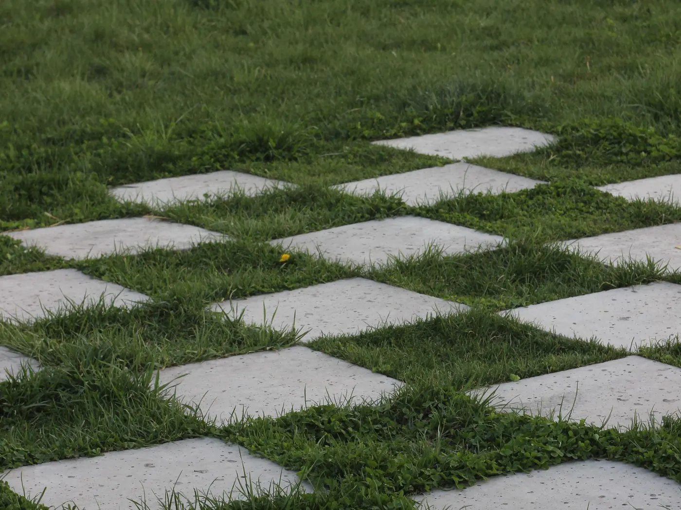 Concrete pads set in a checkerboard pattern across a lawn